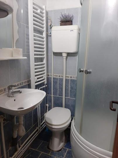 Privatni Smestaj Dobri Dobrosin Buitenkant foto