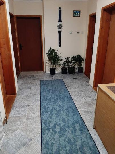 Privatni Smestaj Dobri Dobrosin Buitenkant foto