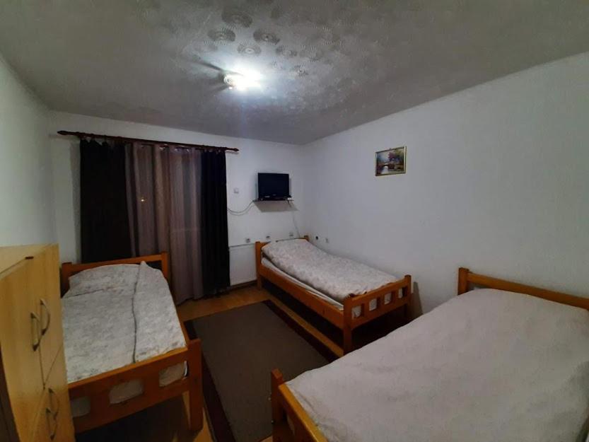 Privatni Smestaj Dobri Dobrosin Buitenkant foto